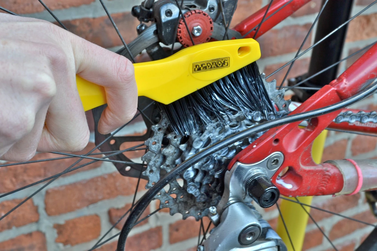 Pedro's Toothbrush Børste 5 Pedro's Toothbrush Børste - Billede 3