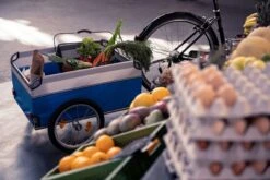 XLC Cargo Carry Van Cykelanhænger -Cykelshoppen Udsalgsbutik DSC5209 edit cc edit cc