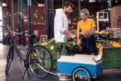 XLC Cargo Carry Van Cykelanhænger -Cykelshoppen Udsalgsbutik DSC5248 edit cc edit cc