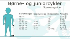 Puky LS-Pro 16-1 Alu 16" Berry - Børnecykel - 2023 -Cykelshoppen Udsalgsbutik boerne og juniorcykler stoerrelsesguide