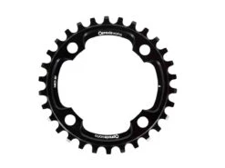 Praxis Works Wave 10/11-Speed Klinge, 30T